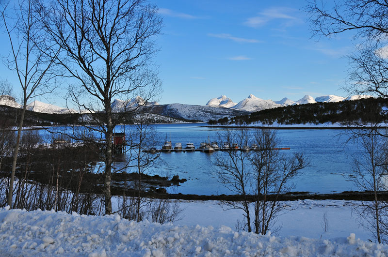 Scandinavie, Norvge, Sude, Finlande